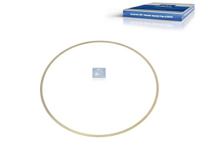 DT Spare Parts - Shim, d: 148.1 mm, D: 153.7 mm, S: 0.2 mm - 1.10601 - 10 Pack