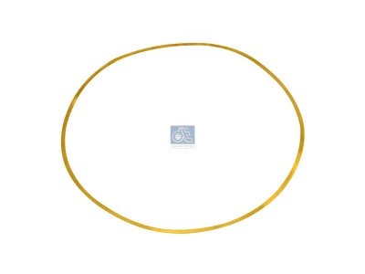 DT Spare Parts - Shim, d: 148.1 mm, D: 153.7 mm, S: 0.1 mm - 1.10600 - 10 Pack