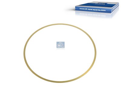 DT Spare Parts - Shim, d: 134.1 mm, D: 140.6 mm, S: 0.2 mm - 1.10610 - 10 Pack