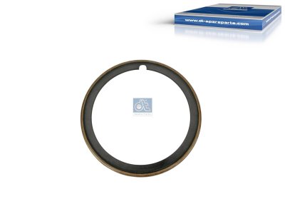 DT Spare Parts - Oil seal, d: 77 mm, D: 95.3 mm, H: 6 mm - 6.46600