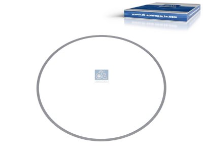 DT Spare Parts - Shim, d: 151.3 mm, D: 157.3 mm, S: 0.3 mm - 2.10136 - 6 Pack