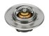 DT Spare Parts - Thermostat, 60 C - 2.15074