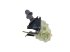 DT Spare Parts - Hand brake valve, max. 8.5 bar - 2.43011