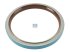 DT Spare Parts - Oil seal, d: 145 mm, D: 175 mm, H: 17 mm - 2.65007
