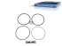 DT Spare Parts - Seal ring kit, cylinder liner, d1: 141 mm, d2: 143 mm, H1: 2.5 mm, H2: 5.8 mm - 2.91142