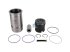 DT Spare Parts - Piston with liner, D: 120 mm - 2.90109