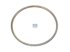 DT Spare Parts - Ring gear, d: 363 mm, D: 393 mm, 129 teeth - 3.11013