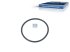 DT Spare Parts - O-ring, d: 52 mm, S: 3 mm - 3.10173 - 10 Pack