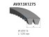 DT Spare Parts - Banded v-belts, L: 1275 mm, W: 13 mm, AVX13X1275, 2 belts - 3.34203