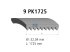 DT Spare Parts - Multiribbed belt, 9 PK, L: 1725 mm, W: 32 mm, 9PK1725 - 3.34317