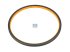 DT Spare Parts - Oil seal, d: 200 mm, D: 218 mm, H: 10 mm - 4.20124
