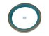 DT Spare Parts - Oil seal, d: 100 mm, D: 125 mm, H: 13 mm - 4.20365