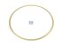 DT Spare Parts - Shim, cylinder liner, d: 153 mm, D: 163 mm, S: 0.2 mm - 4.20415 - 6 Pack