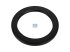 DT Spare Parts - Oil seal, d: 100 mm, D: 130 mm, H: 11 mm - 4.20475