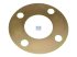 DT Spare Parts - Washer, injection coupling, d: 52.2 mm, D: 110 mm, S: 0.5 mm - 4.60017 - 100 Pack