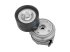 DT Spare Parts - Belt tensioner, D: 74 mm, W: 46.3 mm - 4.61934
