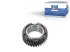 DT Spare Parts - Gear, constant - 4.63572