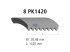 DT Spare Parts - Multiribbed belt, 8 PK, L: 1420 mm, W: 28.5 mm, 8PK1420 - 4.80476