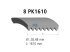 DT Spare Parts - Multiribbed belt, 8 PK, L: 1610 mm, W: 28.5 mm, 8PK1610 - 4.80538