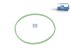 DT Spare Parts - Seal ring, filter protection - 2.33191