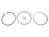 DT Spare Parts - Piston ring kit, D: 106 mm - 4.90977