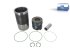 DT Spare Parts - Piston with liner, D: 128 mm - 4.90956