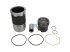DT Spare Parts - Piston with liner, D: 130 mm - 4.90968