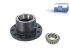 DT Spare Parts - Wheel hub, with bearing - 10.20411