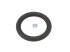 DT Spare Parts - O-ring, d: 25 mm, S: 5 mm - 5.41104 - 5 Pack