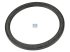 DT Spare Parts - Oil seal, d: 106 mm, D: 125 mm, H: 8 mm - 5.40056
