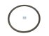 DT Spare Parts - Ring gear, d: 430 mm, D: 475 mm, 148 teeth - 6.21225
