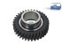 DT Spare Parts - Gear - 2.33133