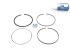 DT Spare Parts - Piston ring kit - 15.00204
