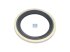 DT Spare Parts - Gasket, cooling water pipe - 2.15049 - 2 Pack