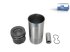 DT Spare Parts - Piston with liner, D: 108 mm - 3.90029
