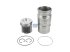 DT Spare Parts - Piston with liner, D: 127 mm - 1.33117