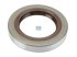 DT Spare Parts - Oil seal, d: 39.4 mm, D: 62 mm, H: 10 mm - 2.32986