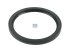 DT Spare Parts - Oil seal, d: 145 mm, D: 175 mm, H: 15 mm - 2.10796