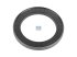 DT Spare Parts - Oil seal, d: 121 mm, D: 170 mm, H1: 15.5 mm, H2: 17 mm - 7.32226