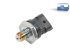 DT Spare Parts - Sensor, fuel pressure, M12 x 1,5, SW: 27, L: 48.5 mm, 3 poles - 7.24056