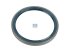 DT Spare Parts - Oil seal, d: 125 mm, D: 150 mm, H: 13 mm - 7.32234