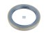 DT Spare Parts - Oil seal, d: 75 mm, D: 100 mm, H: 13 mm - 7.32236