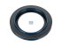 DT Spare Parts - Oil seal, d: 117.5 mm, D: 157 mm, H1: 23 mm, H2: 17.5 mm - 10.10528
