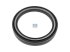 DT Spare Parts - Oil seal, d: 117.6 mm, D: 152.4 mm, H: 25.4 mm - 10.30478