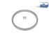DT Spare Parts - ABS ring, d: 152 mm, D: 170 mm, H: 15 mm, 100 teeth - 10.10581