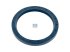 DT Spare Parts - Oil seal, d: 80 mm, D: 100 mm, H: 10 mm - 4.20639