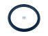 DT Spare Parts - Seal ring, d: 74.8 mm, D: 91 mm, H: 5.5 mm - 2.32987 - 2 Pack