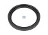 DT Spare Parts - Oil seal, d: 93 mm, D: 114 mm, H: 13 mm - 4.20641