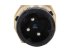 DT Spare Parts - Pressure sensor, SW: 27, L: 55 mm, 3 poles - 2.32856