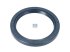 DT Spare Parts - Oil seal, d: 82 mm, D: 105 mm, H: 10 mm - 5.20106